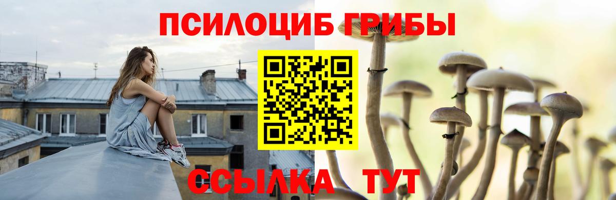 Электросталь  Псилоцибиновые грибы прущие грибы  Вход с VPN 